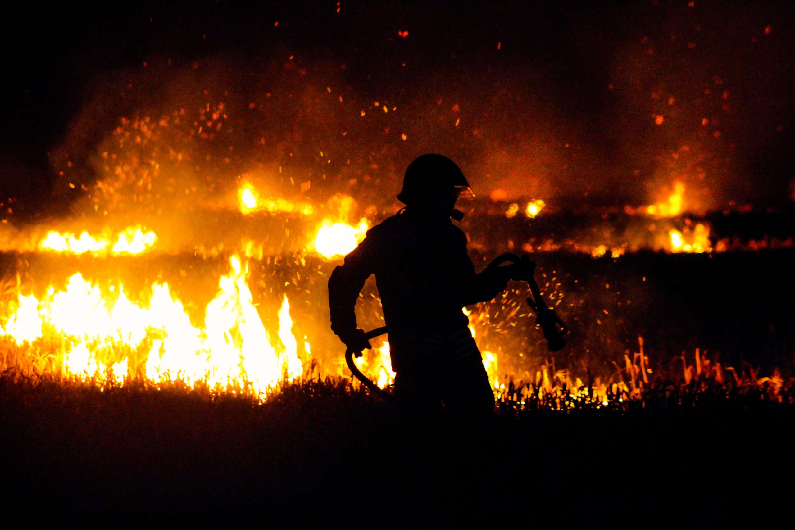 wildfire firefighter